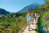 Walking along the “Waalweg” in Algund  near Merano